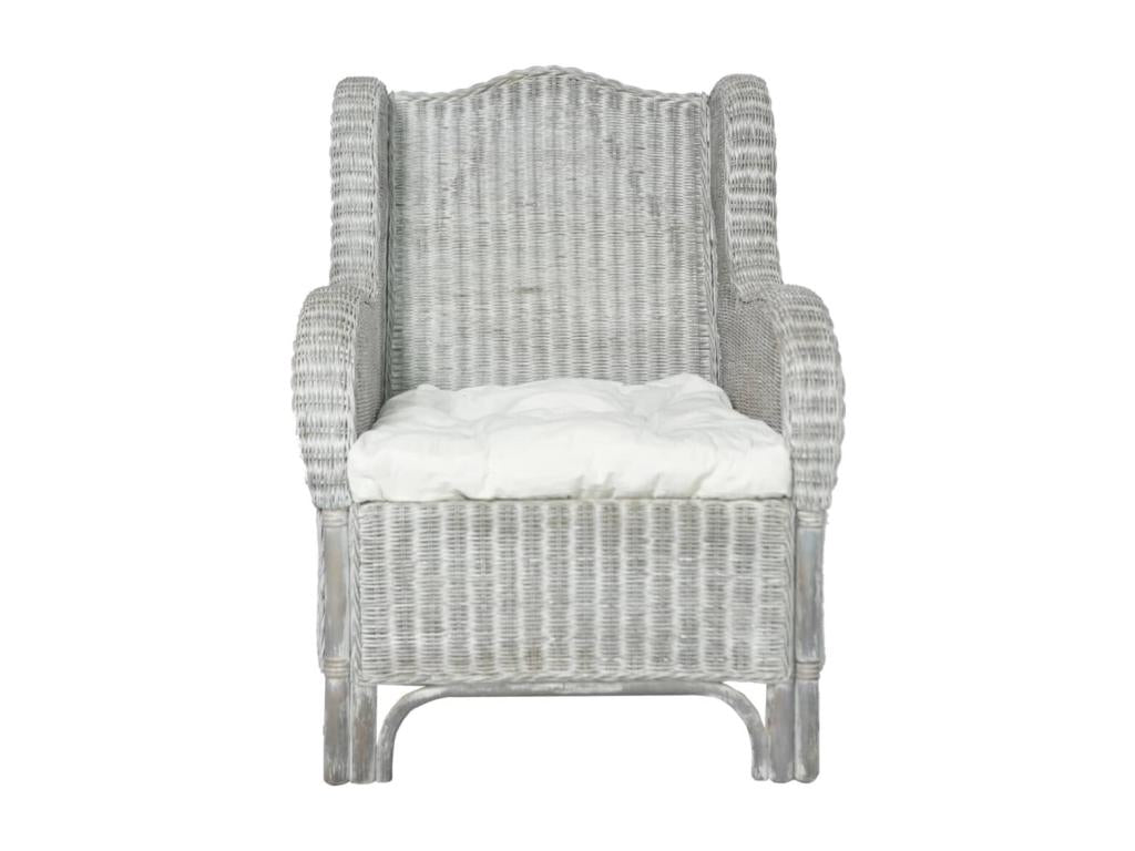 Canapé gris - dlz1766572615755